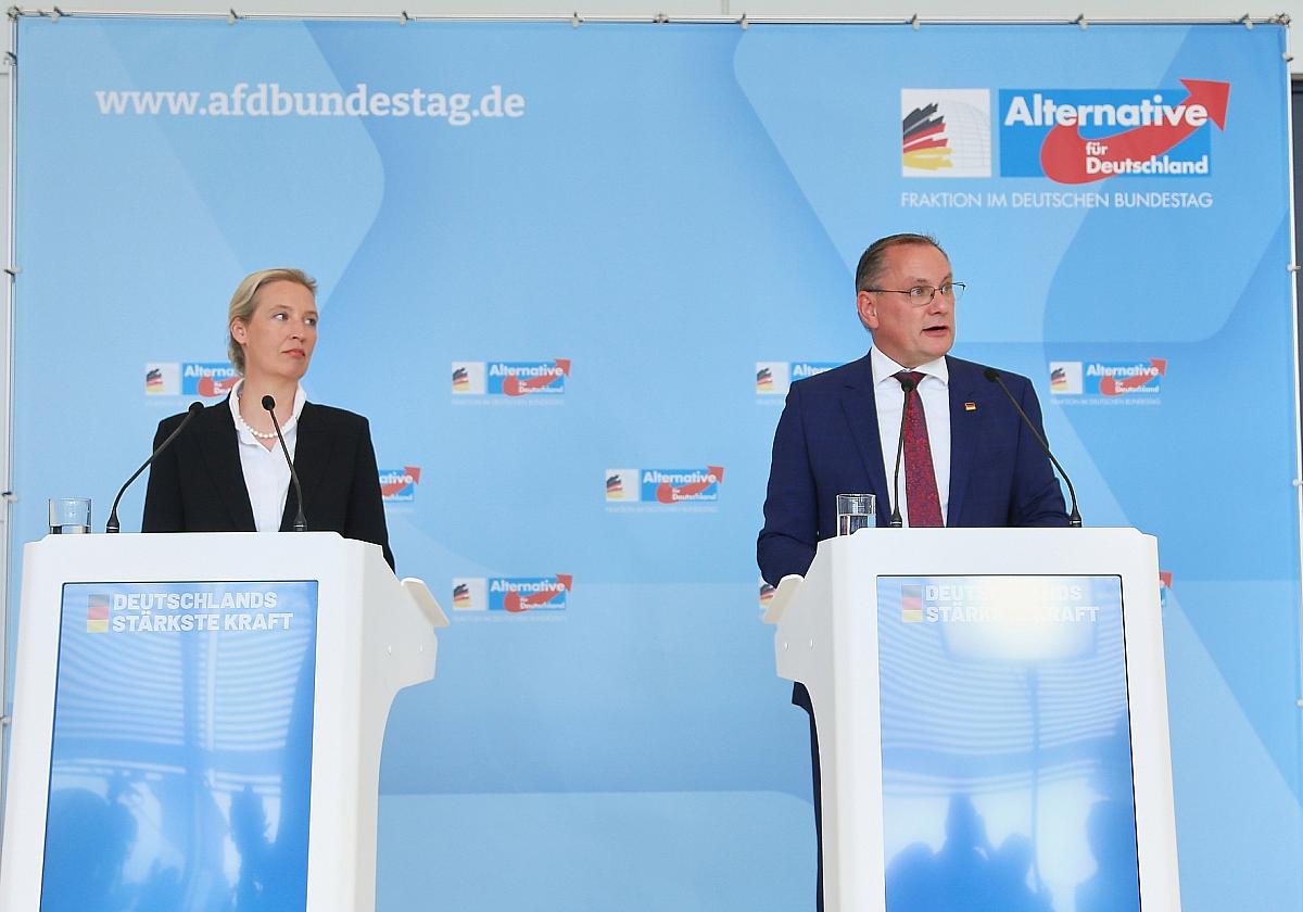 Alice Weidel und Tino Chrupalla (Archiv)