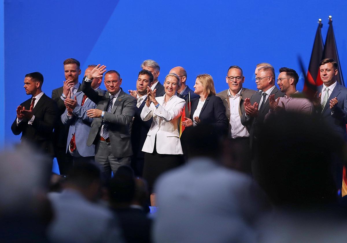 AfD-Vorstand (Archiv)