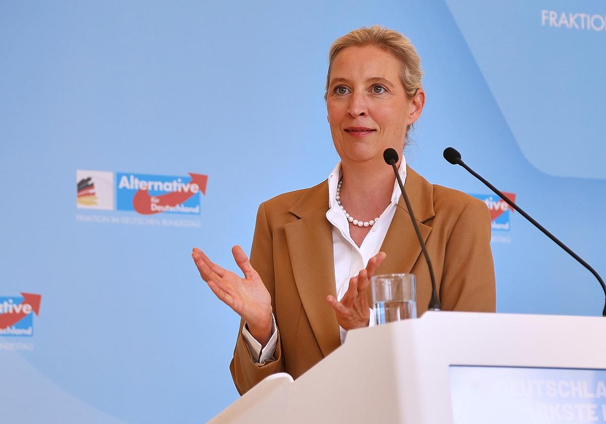 Alice Weidel am 07.07.2026